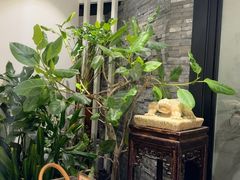 -羲和雅苑•北京烤鸭(国贸商城店)