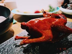 -大鸽饭(岗顶店)