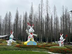 -东平国家森林公园