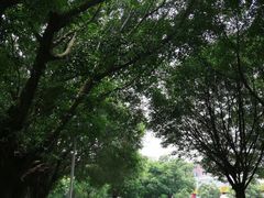 -水濂山森林公园