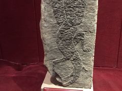 -卧龙岗文化园-南阳市汉画馆