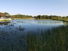 -昆山城市生态森林公园