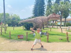 -自贡恐龙博物馆