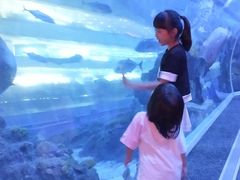 -成都浩海立方海洋公园