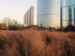 -艾溪湖湿地公园