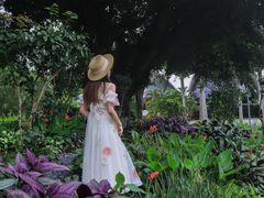 -人民公园(罗湖区)