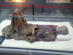 -巴音郭楞蒙古自治州博物馆