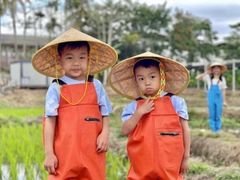 -金豆子幼稚园