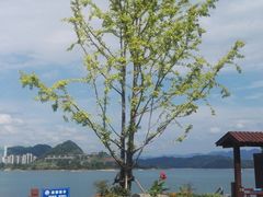 -千岛湖城中湖游船码头