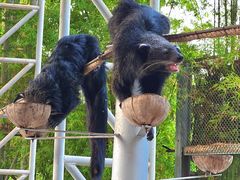 -清迈夜间动物园