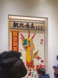 -乐高授权专卖店(朝阳大悦城店)