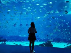 -上海海昌海洋公园-停车场