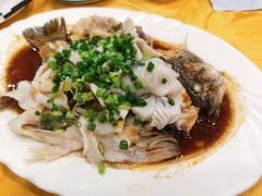 特色香葱淋鲈鱼-粤·向群饭店(泮塘路店)