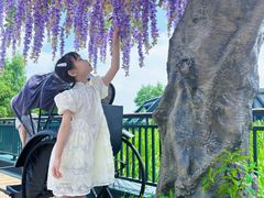 -武汉知音号