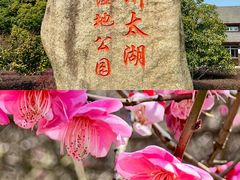 -苏州太湖国家湿地公园