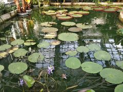 -国家植物园南园