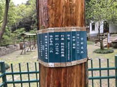 -穹窿山景区