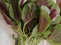 -菌乡缘·野生菌蒸汽鱼火锅(江边夜市店)