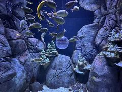 -成都浩海立方海洋公园