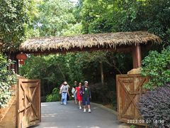 -杏花村文化旅游区