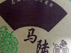 -马陆小张葡萄园农家乐