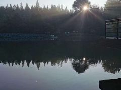 -上海怡沁园度假酒店