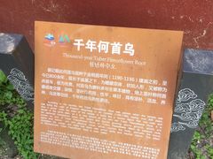 -沂蒙山旅游区云蒙景区(蒙山国家森林公园)