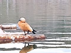 -南翠屏公园