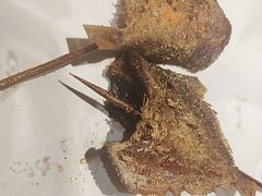 -小杨烤肉(明德门店)
