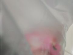 -丽莎蓓甜CAKE生日蛋糕·动物奶油(石家庄店)