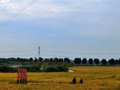 -武汉紫薇都市田园