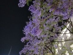-南屏步行街