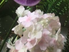 -新碧水留香新桑拿