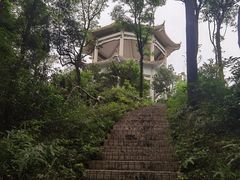-广州市帽峰山景区