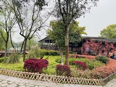 -西溪国家湿地公园