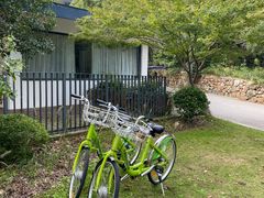 -昆山城市生态森林公园