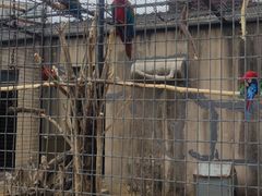 -石家庄市动物园