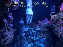 -成都浩海立方海洋公园