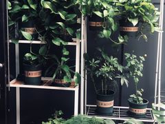 -Primo·丽莫意大利窑烤披萨