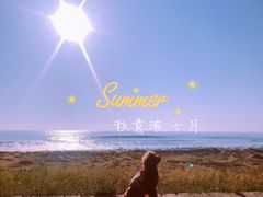 -阳光海岸露营公园