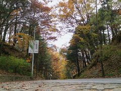 -洛阳白云山景区