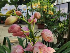 -国家植物园南园