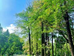 -人民公园(罗湖区)