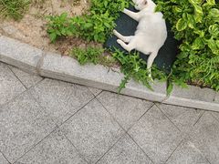 -厦门理工学院(集美校区)