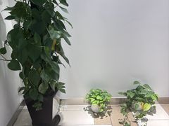 -新东方国际教育·雅思托福(裕德路校区)