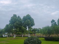 -滨湖塘西河公园