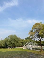 -BabyA 专业婴童摄影(古北时尚广场店)