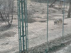 -太原动物园