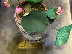 -单家老院·院子里的青岛菜(沙子口店)
