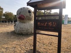-上海都市菜园